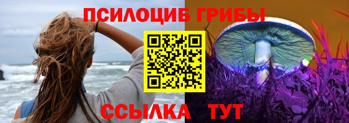 Каменск-Шахтинский  Галлюциногенные грибы мухоморы  где купить   Вход с VPN 